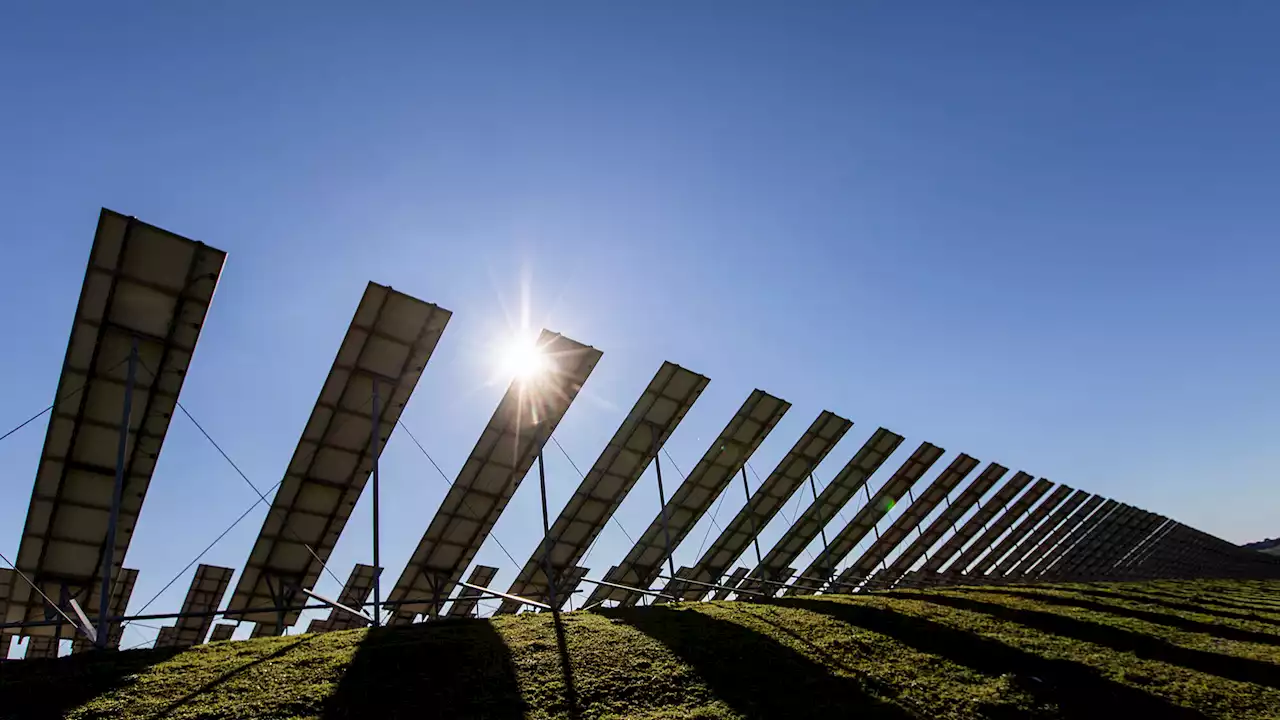 Concorrência autoriza compra da Amper e central fotovoltaica