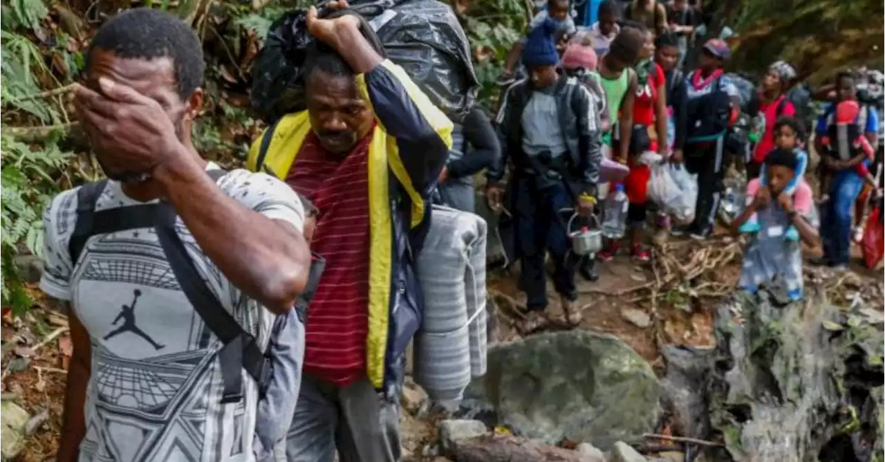 Cifra récord: 248.000 migrantes han cruzado selva del Darién en lo que va del 2023