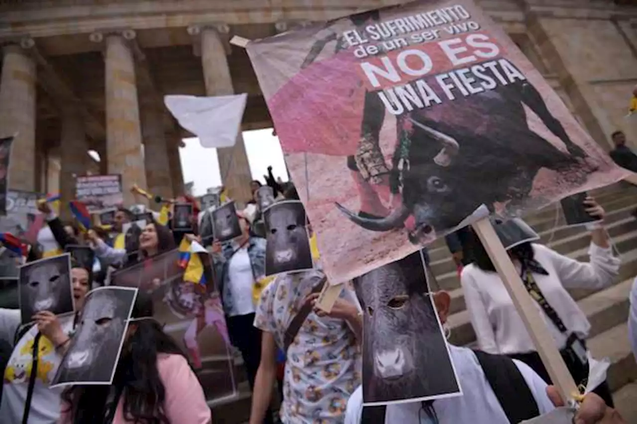 Radican nuevo proyecto de ley que busca prohibir las corridas de toros en Colombia