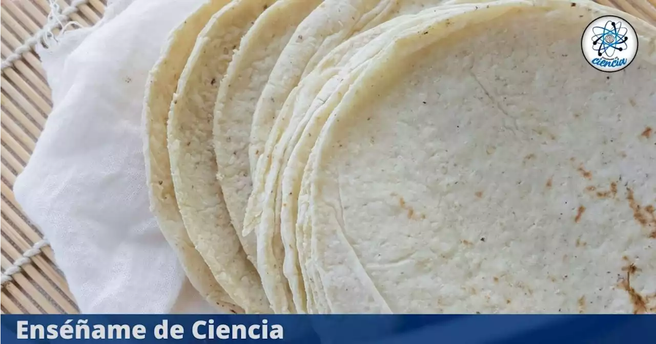 El trucazo que debes aplicar para mantener las tortillas en buen estado por mucho más tiempo