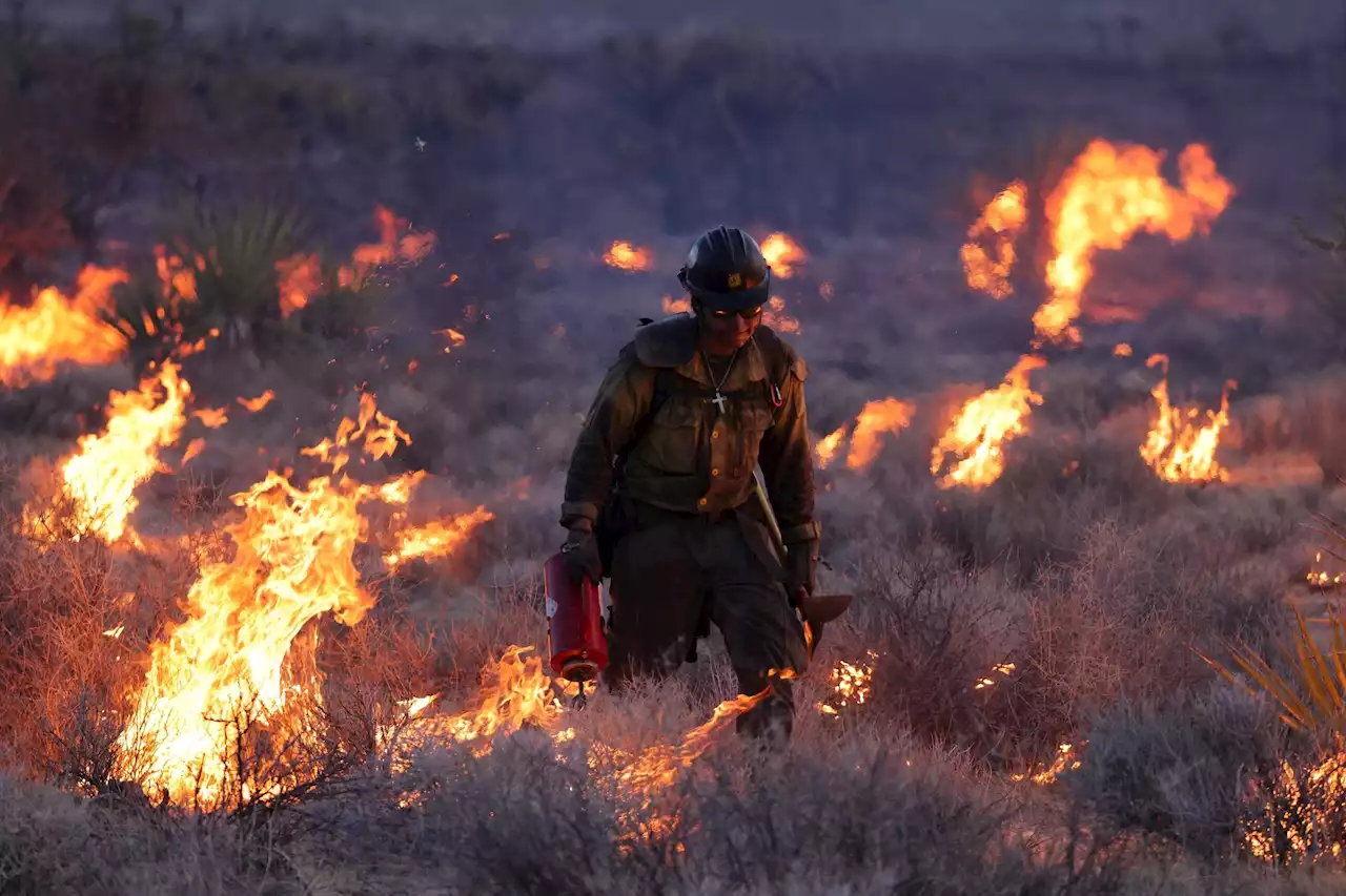 What Is A Fire Whirl? What To Know About The Blazes In California And Nevada