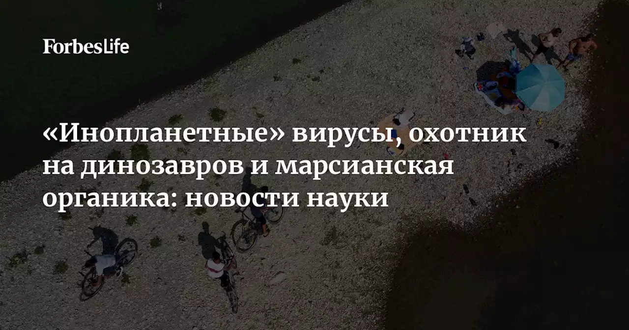 «Инопланетные» вирусы, охотник на динозавров и марсианская органика: новости науки