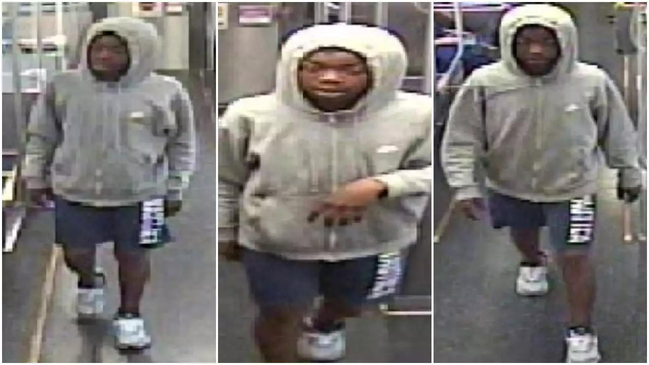 Chicago police seeking man wanted for robbery on CTA train