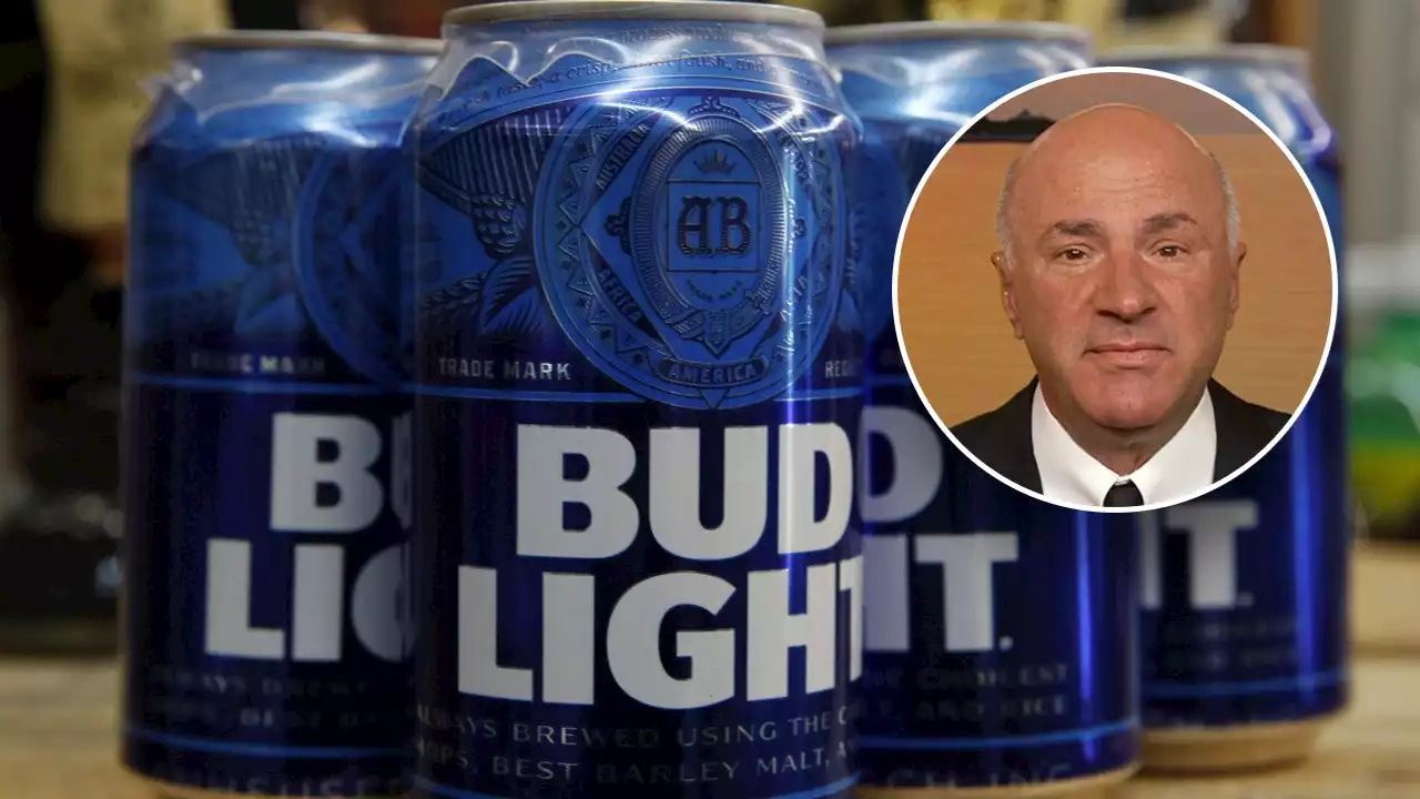 Kevin O'Leary to teach college students about Bud Light's 'impossible to dream' losses