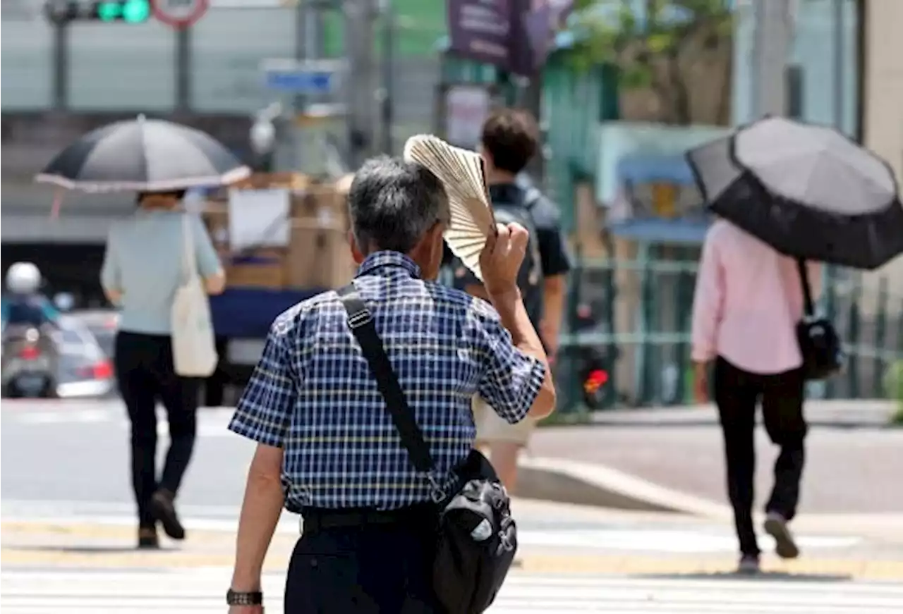 ‘땀이 나도 안 나도’ 열사병·열탈진 전조 증상…가볍게 보지 마세요