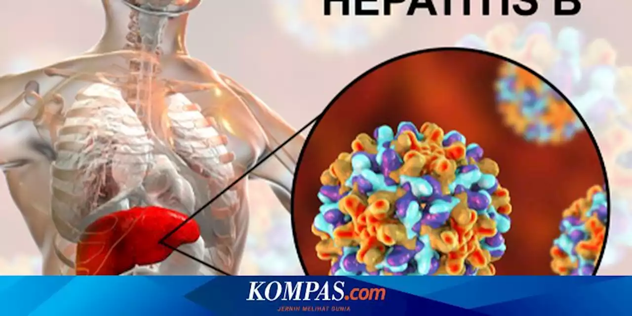 Apakah Hepatitis B Bisa Sembuh? Berikut Penjelasannya…