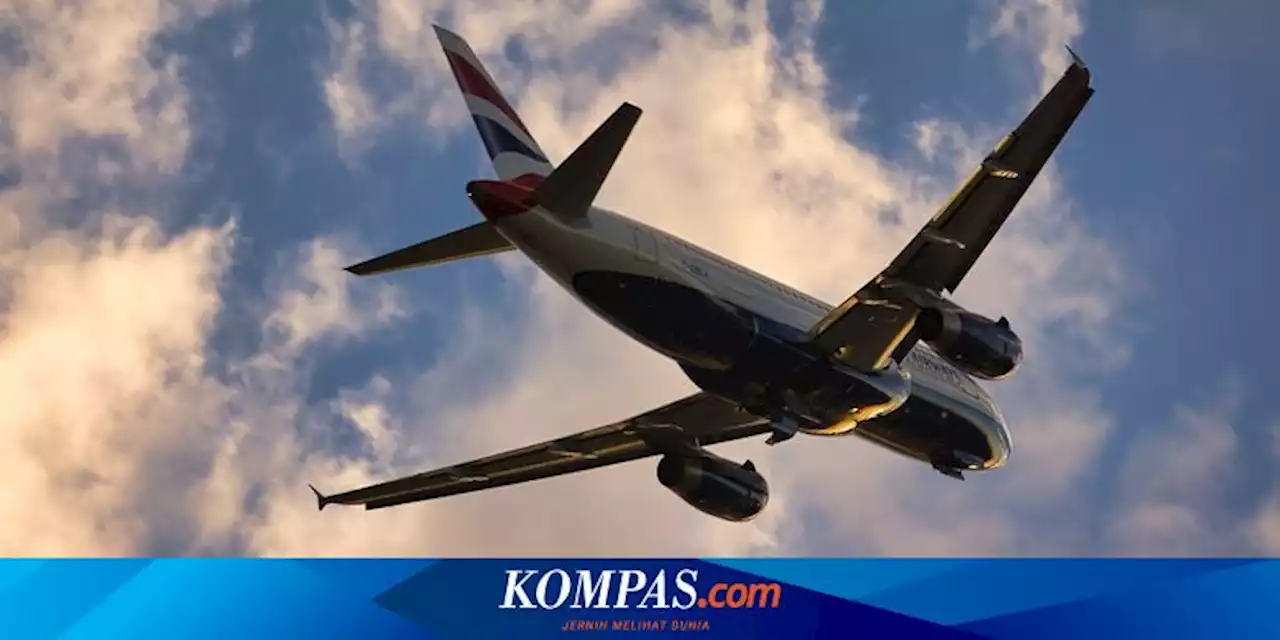 Seorang Pria Terjebak di Kursi 'First Class' British Airways Selama 3 Jam, Apa Penyebabnya?