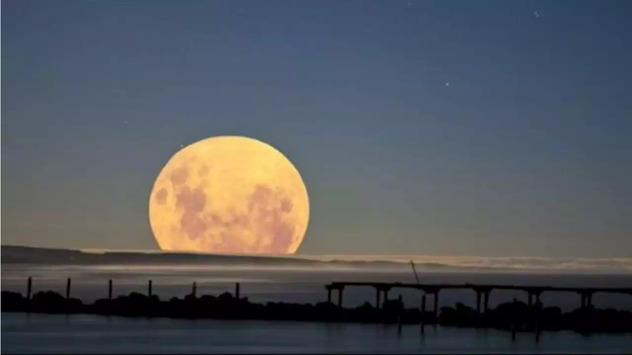 Waspada! Supermoon Malam Ini Berpotensi Tingkatkan Gelombang Air Laut ...