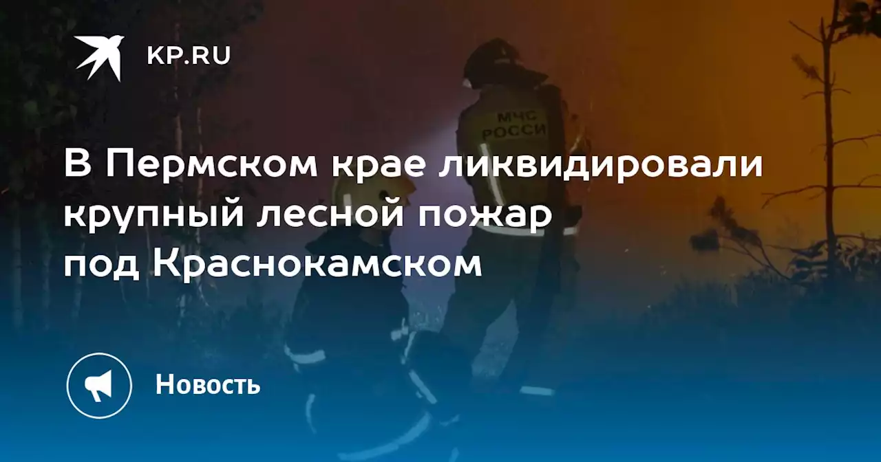 В Пермском крае ликвидировали крупный лесной пожар под Краснокамском
