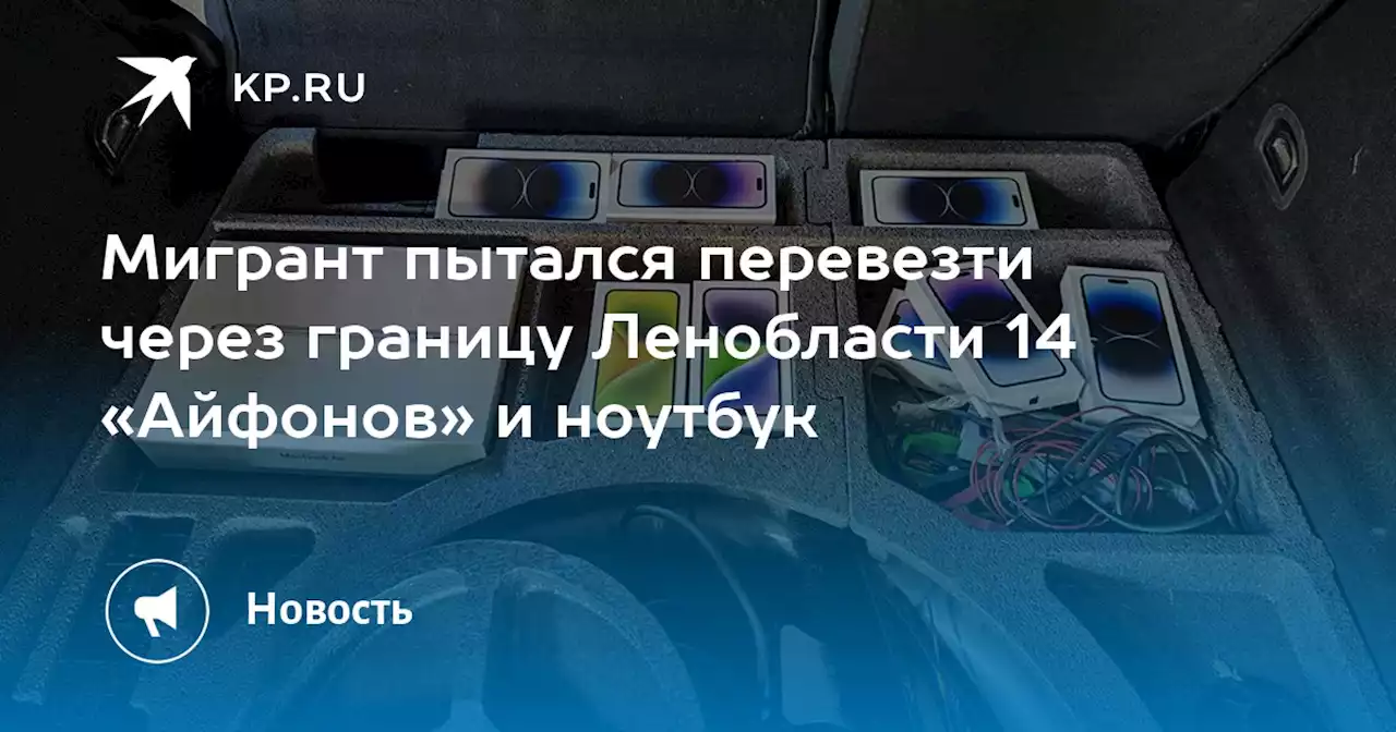 Мигрант пытался перевезти через границу Ленобласти 14 «Айфонов» и ноутбук