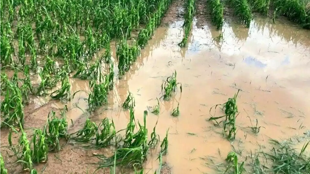 Neuer Rekord an Unwetter-Schäden verzeichnet