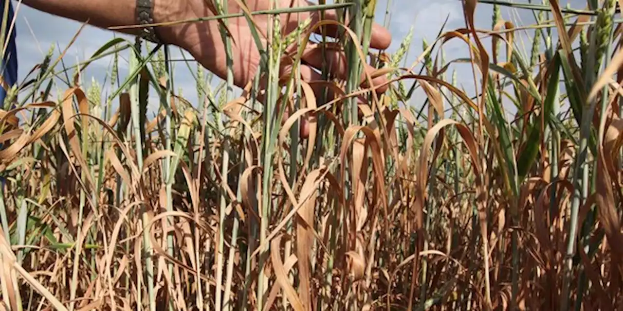 Près de 120 communes françaises privées d'eau potable à cause de la sécheresse