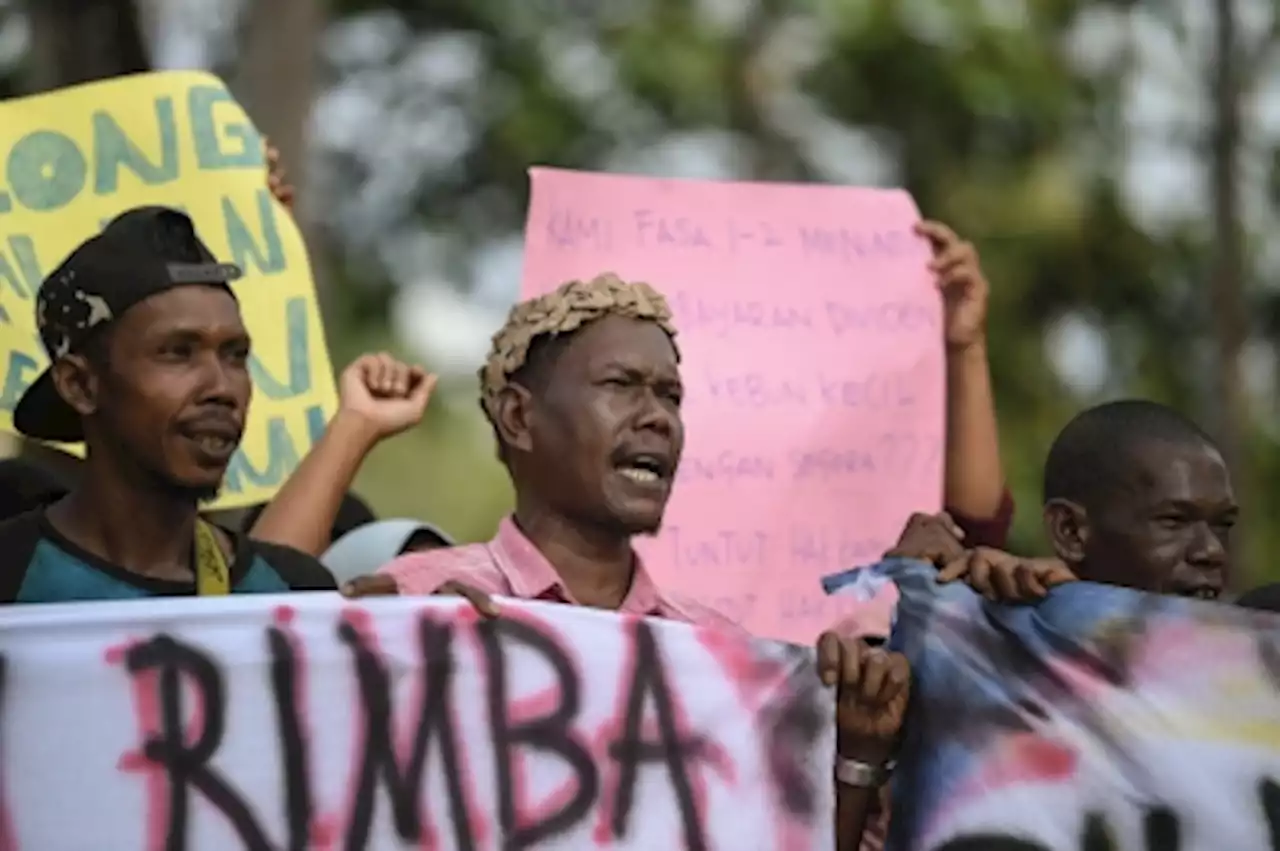 In Kedah, Orang Asli community wants plantation company to settle dividend arrears