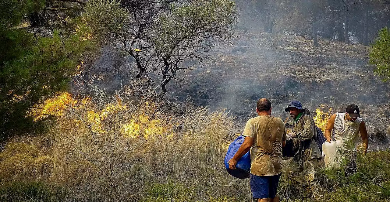 Griechische Regierung will Brandstifter strenger bestrafen