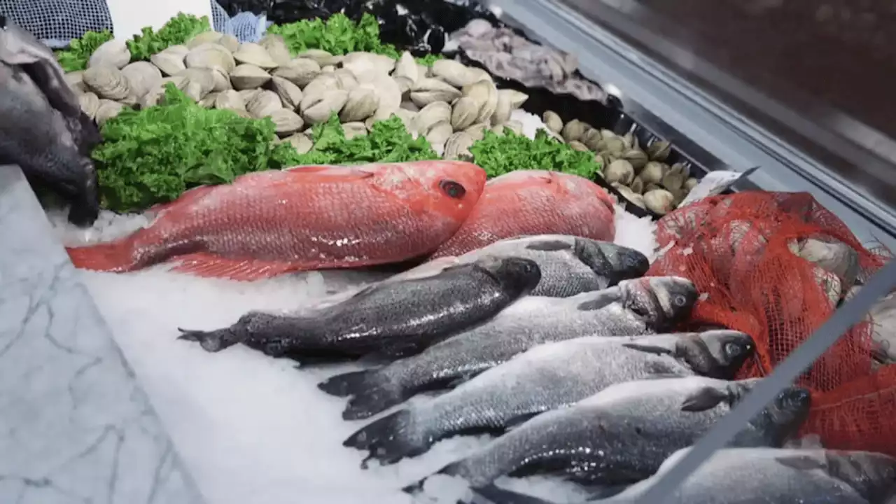 Tips for safe and sustainable seafood