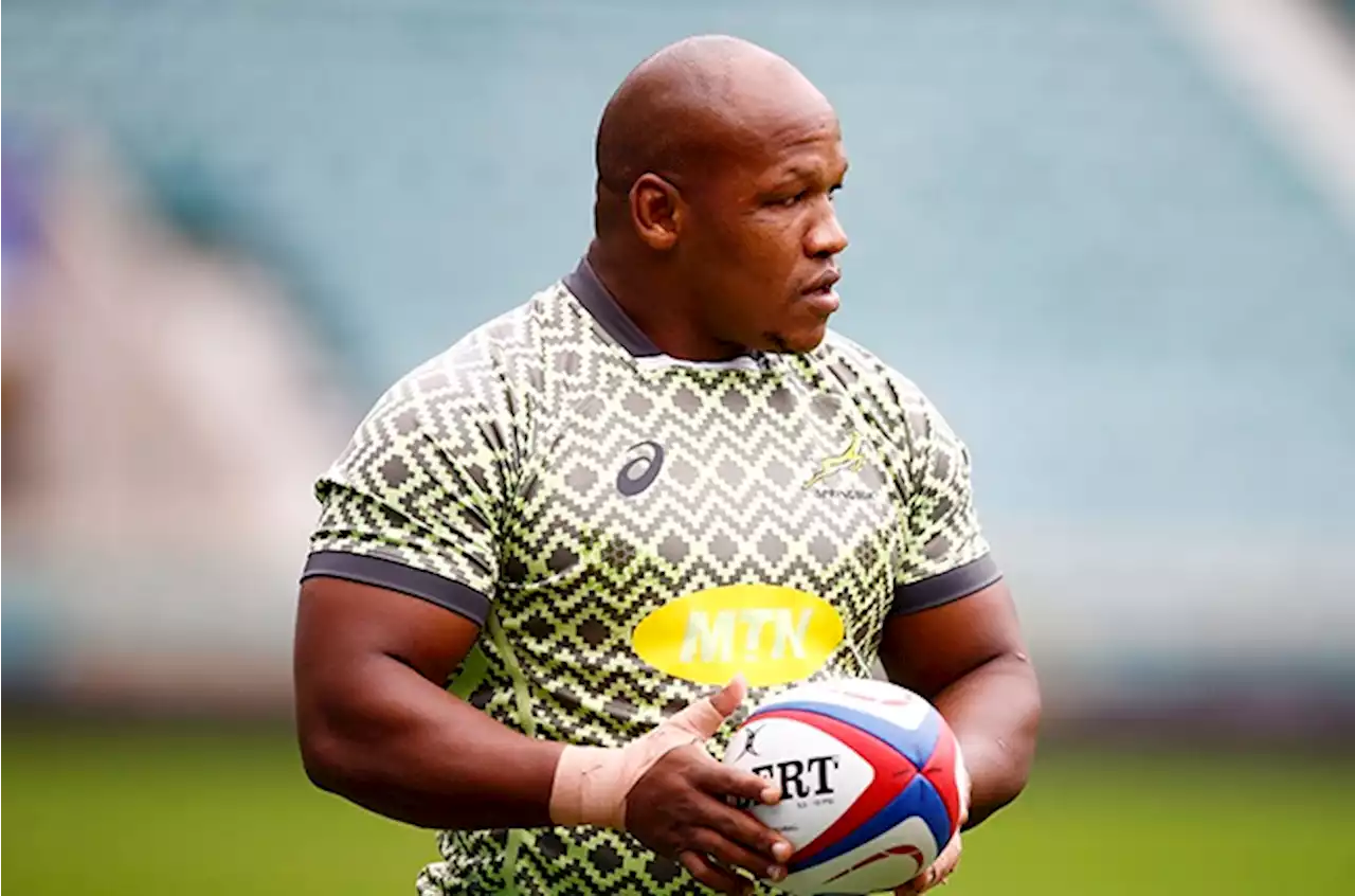 Mbonambi skippers Boks against Pumas, prop Steenekamp set for debut | Sport