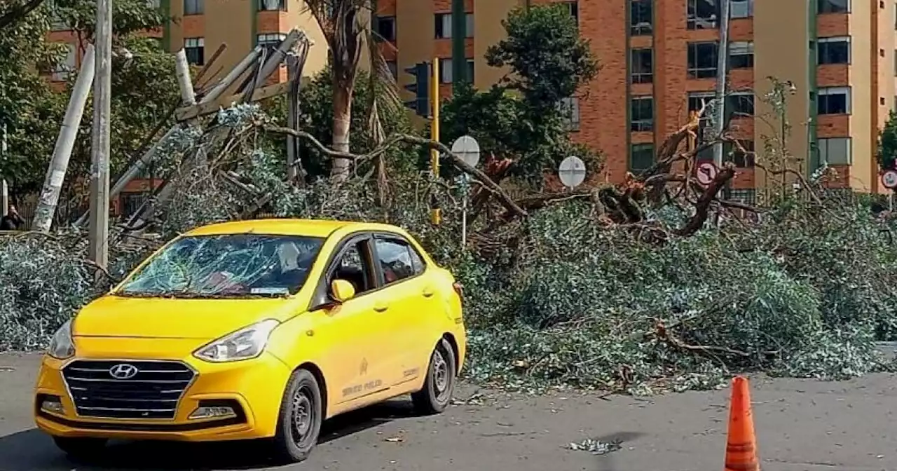 Enorme árbol cayó sobre un taxi en Ciudad Salitre, occidente de Bogotá