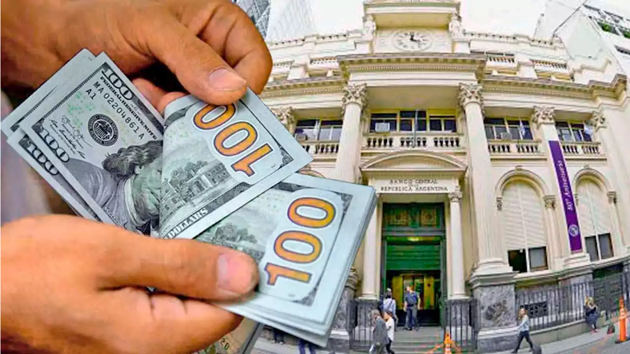 Dólar ahorro: en agosto se renueva el cupo para comprar los u$s200, pero más caros