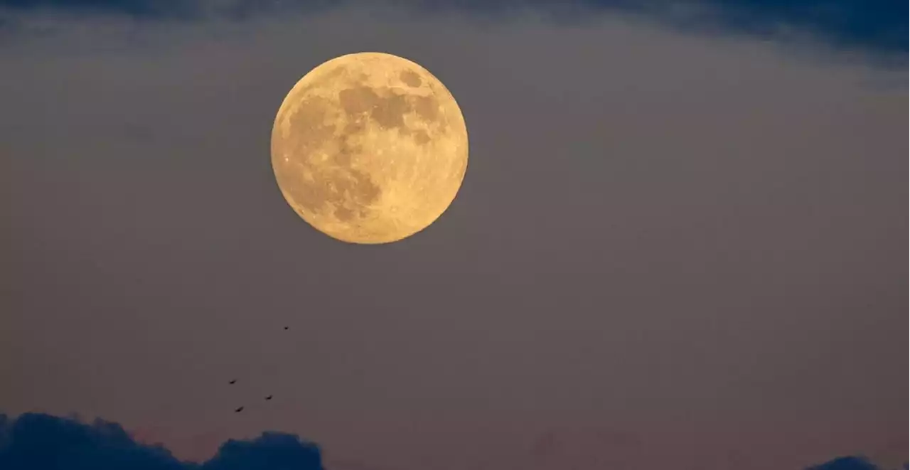 Luna llena de agosto: ¿cuándo y a qué hora ver este hermoso evento?