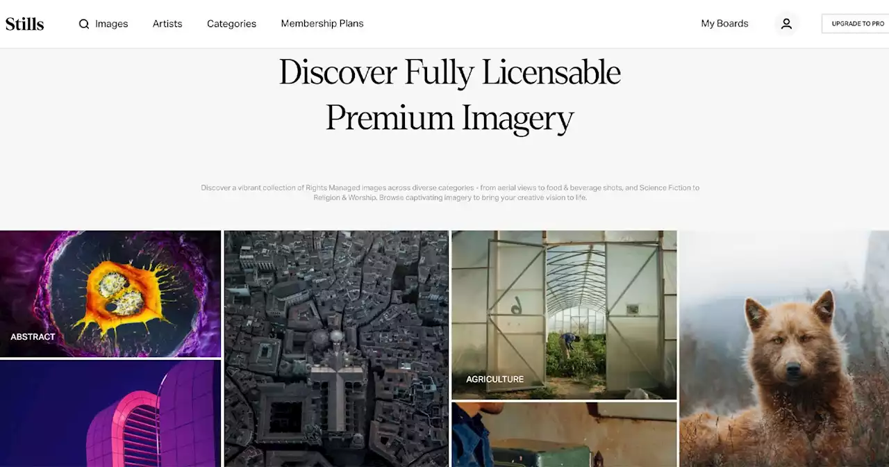 Stills is a New Premium Stock Photo Platform From the Makers of Musicbed