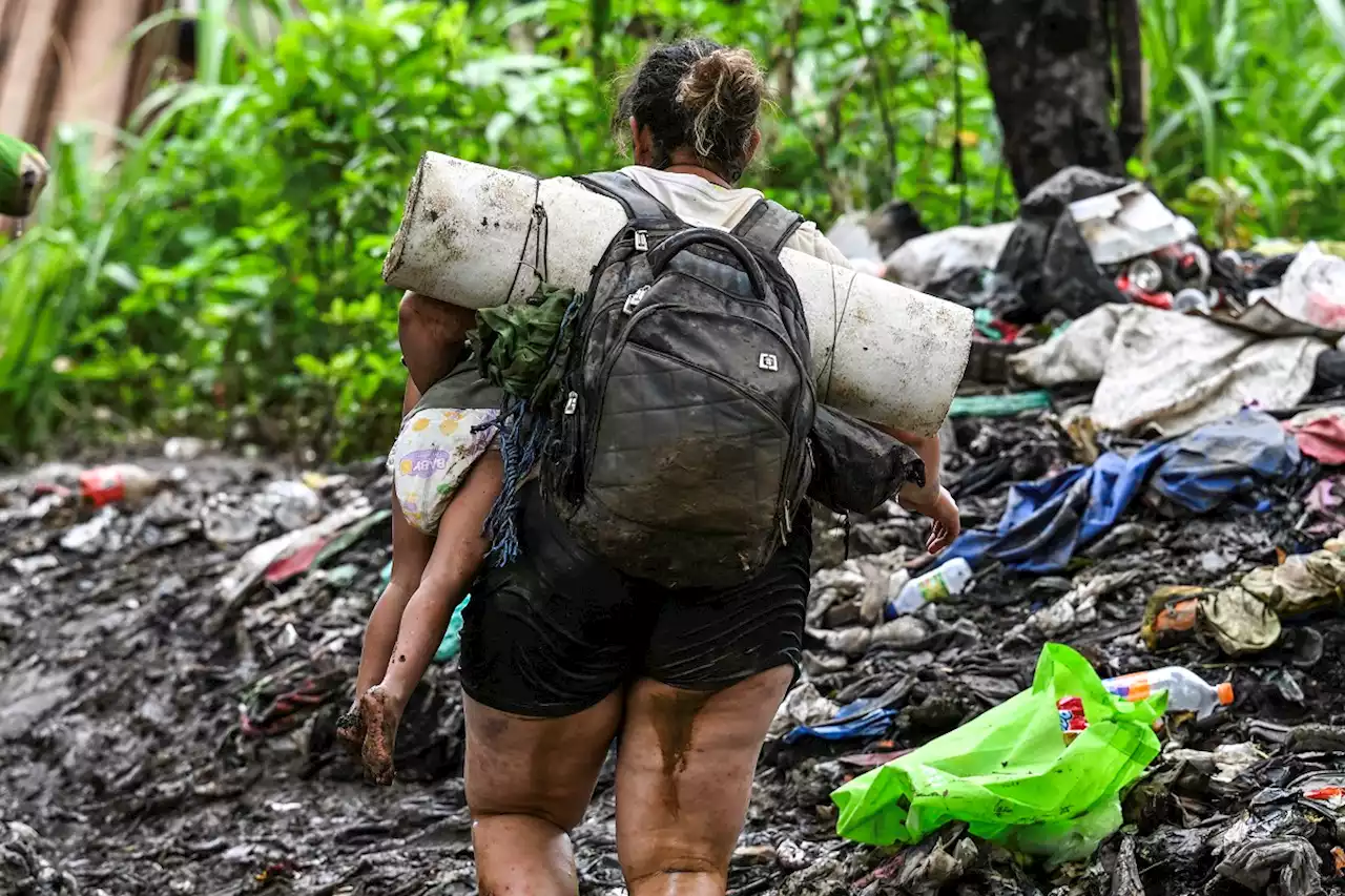 Cifra récord de migrantes que cruzan selva del Darién: más de 248.000 en lo que va de 2023 - Pulzo