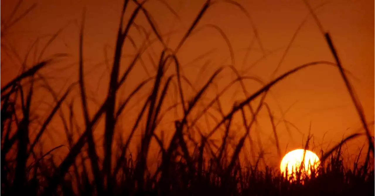 Iran shuts down for two days because of 'unprecedented heat'
