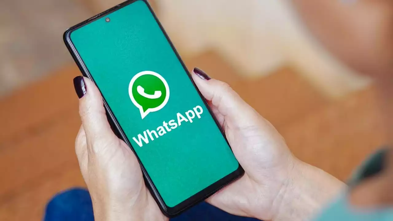 WhatsApp: ¿qué se debe hacer si la aplicación consume la memoria de su dispositivo móvil?