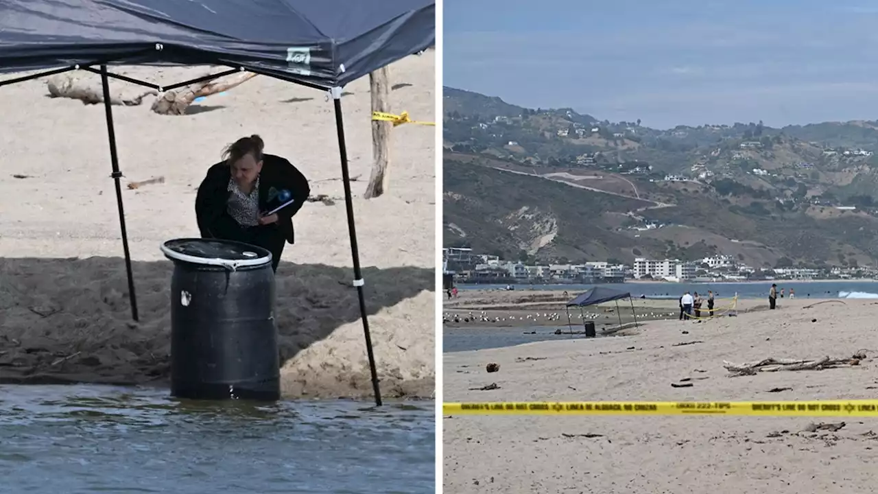 Horreur sur une plage de Malibu: un cadavre découvert dans un tonneau