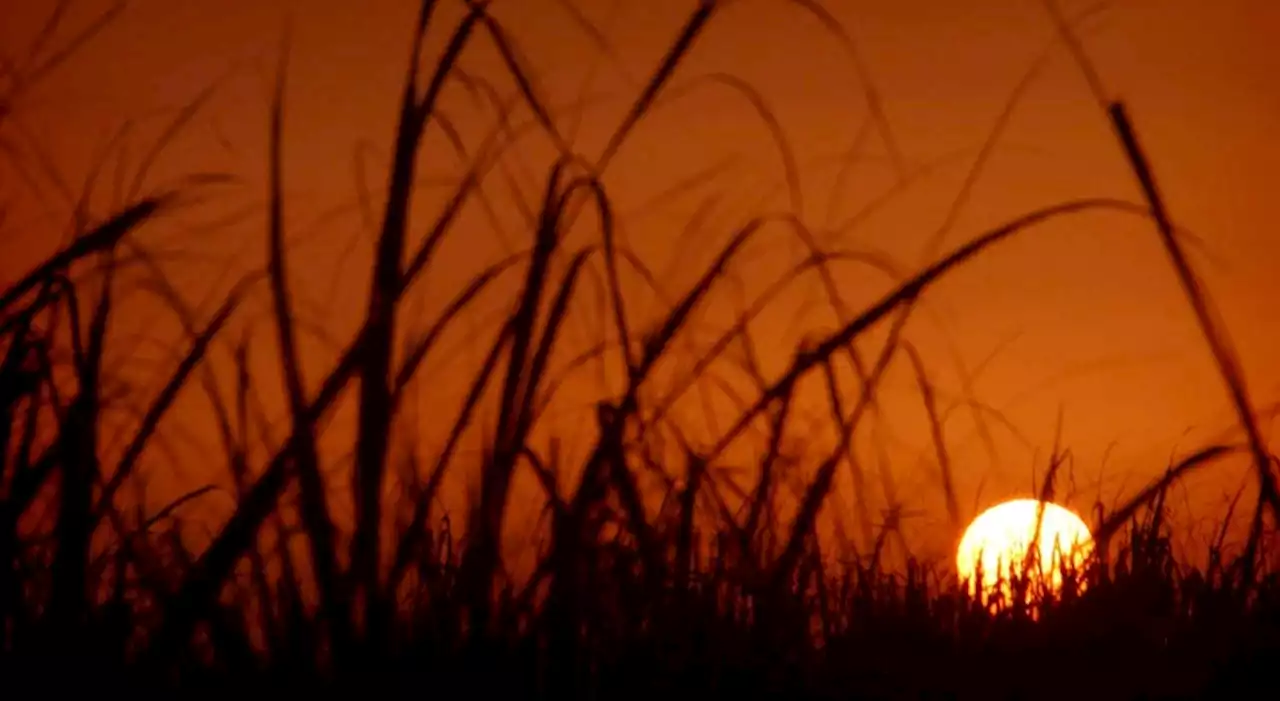 Irão decreta dois dias de férias devido a onda de calor extremo