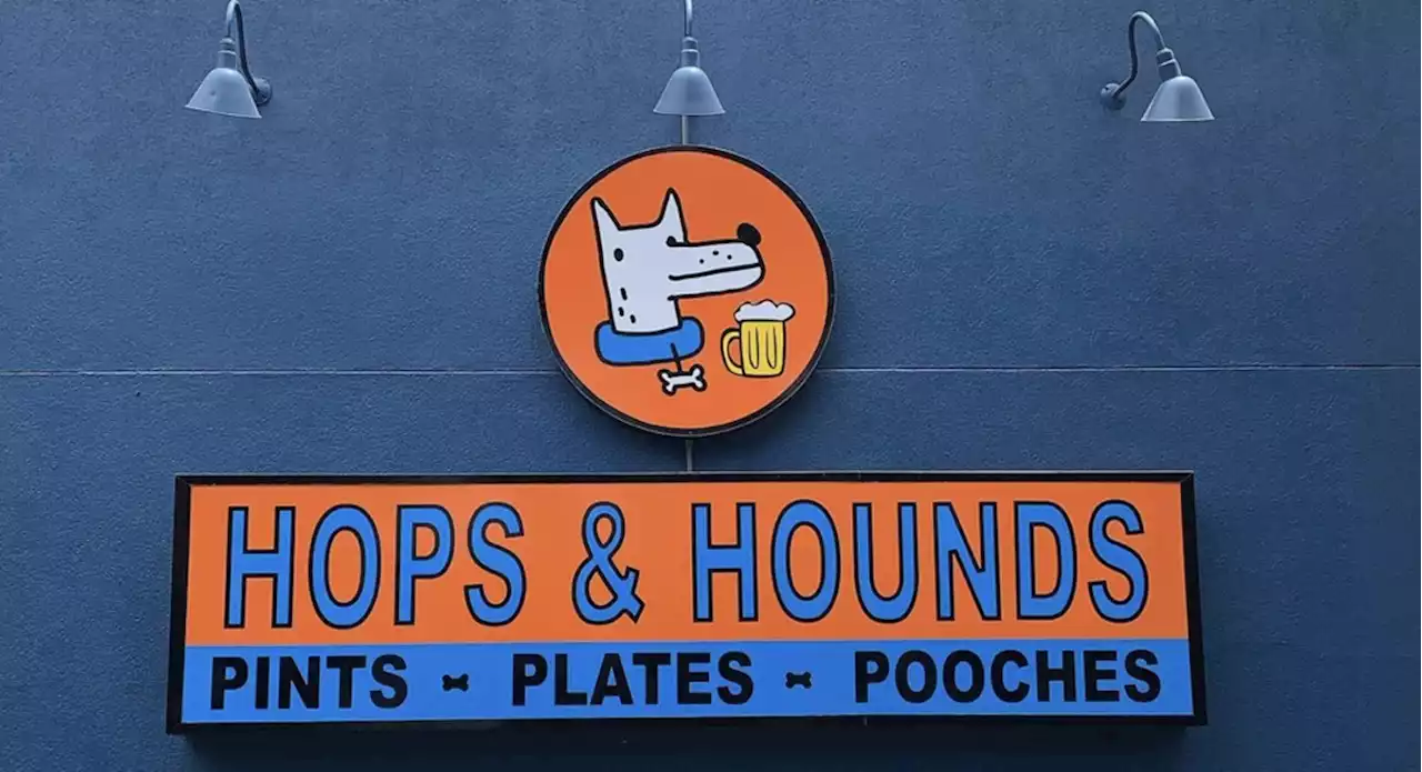 San Antonio’s Hops & Hounds under new ownership, name starting Tuesday