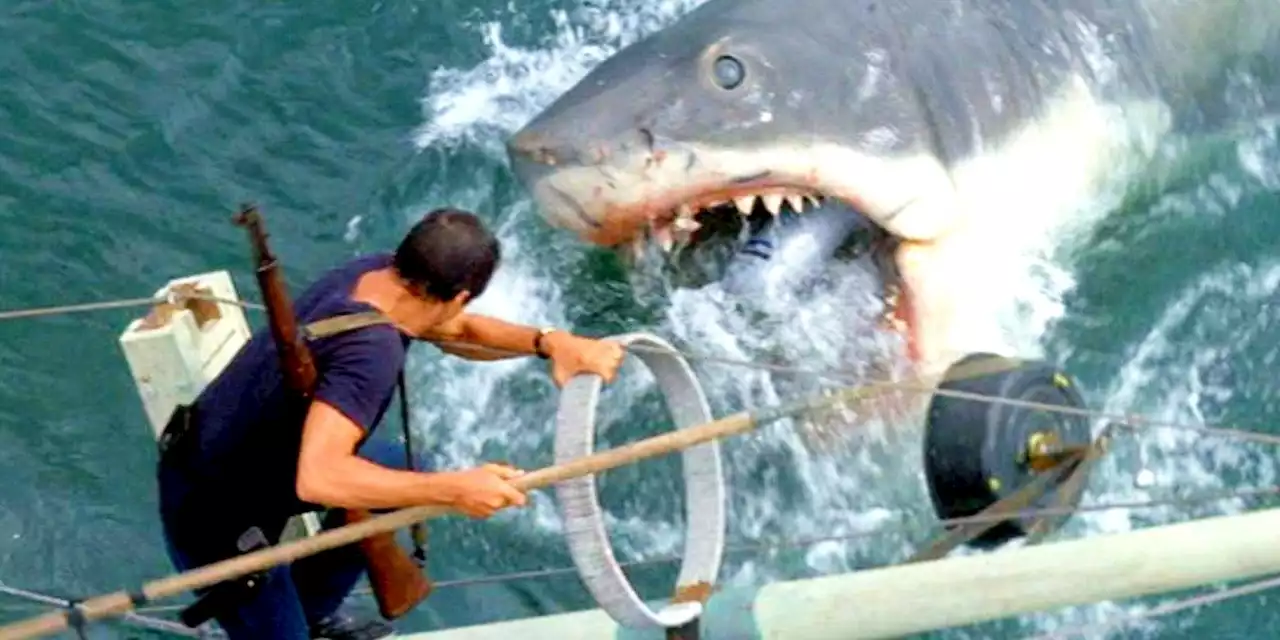 Spielberg Basically Banned The Color Red From Jaws Sets (& It Made The Movie Scarier)