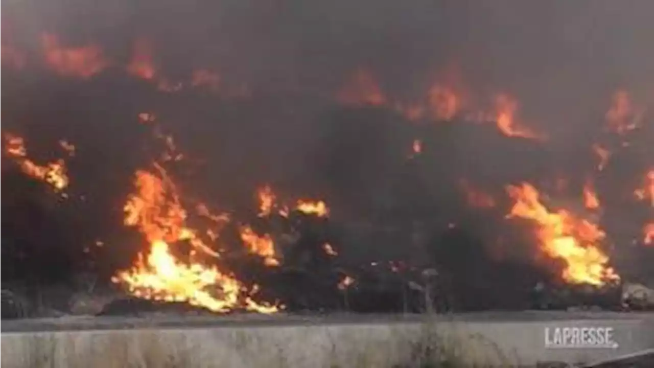 Incendi, a Palermo ordinanza anti-diossina - Il Sole 24 ORE