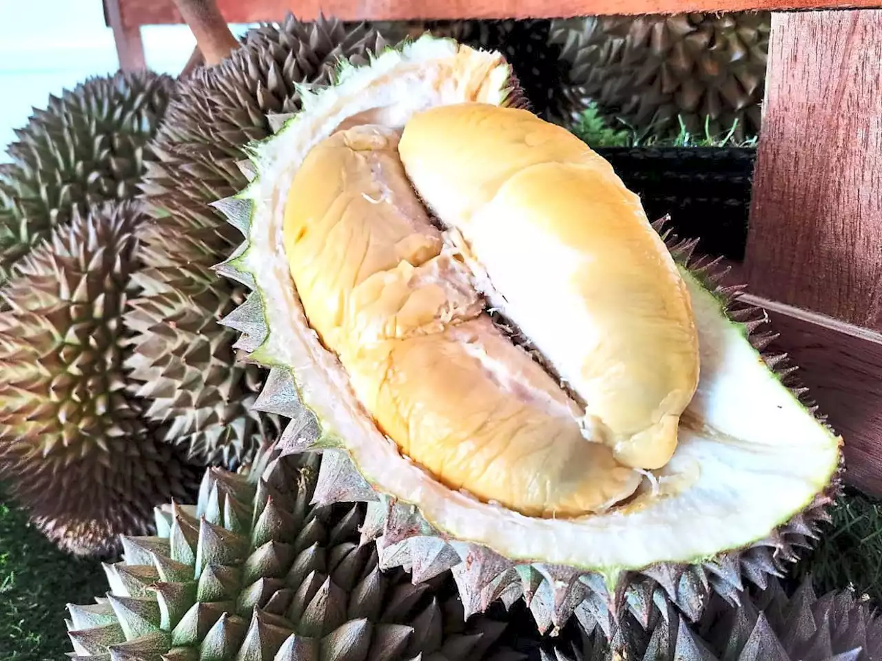 QuickCheck: Are durians now a non-seasonal fruit?