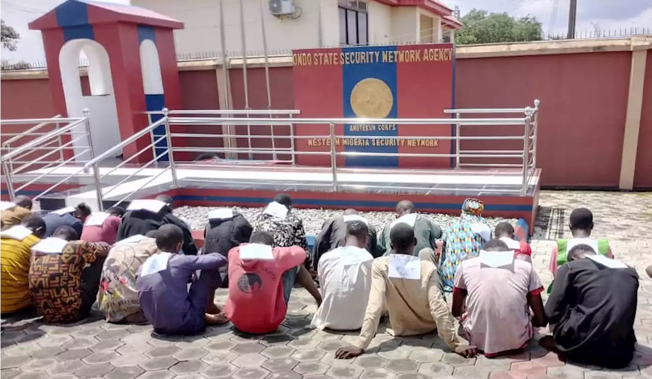 29 suspects arrested as Amotekun rescues 23-year-old abducted in Ondo | TheCable