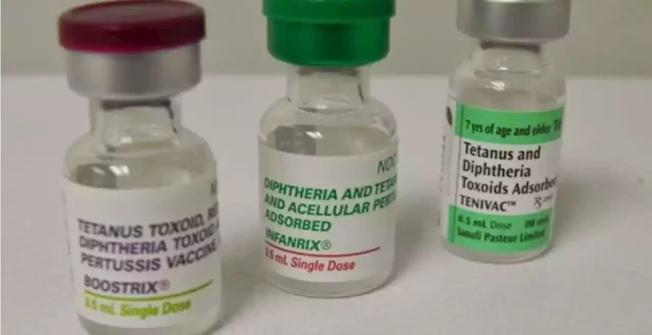 WHO: 1,800 vials of diphtheria drug will be delivered to Nigeria in August | TheCable