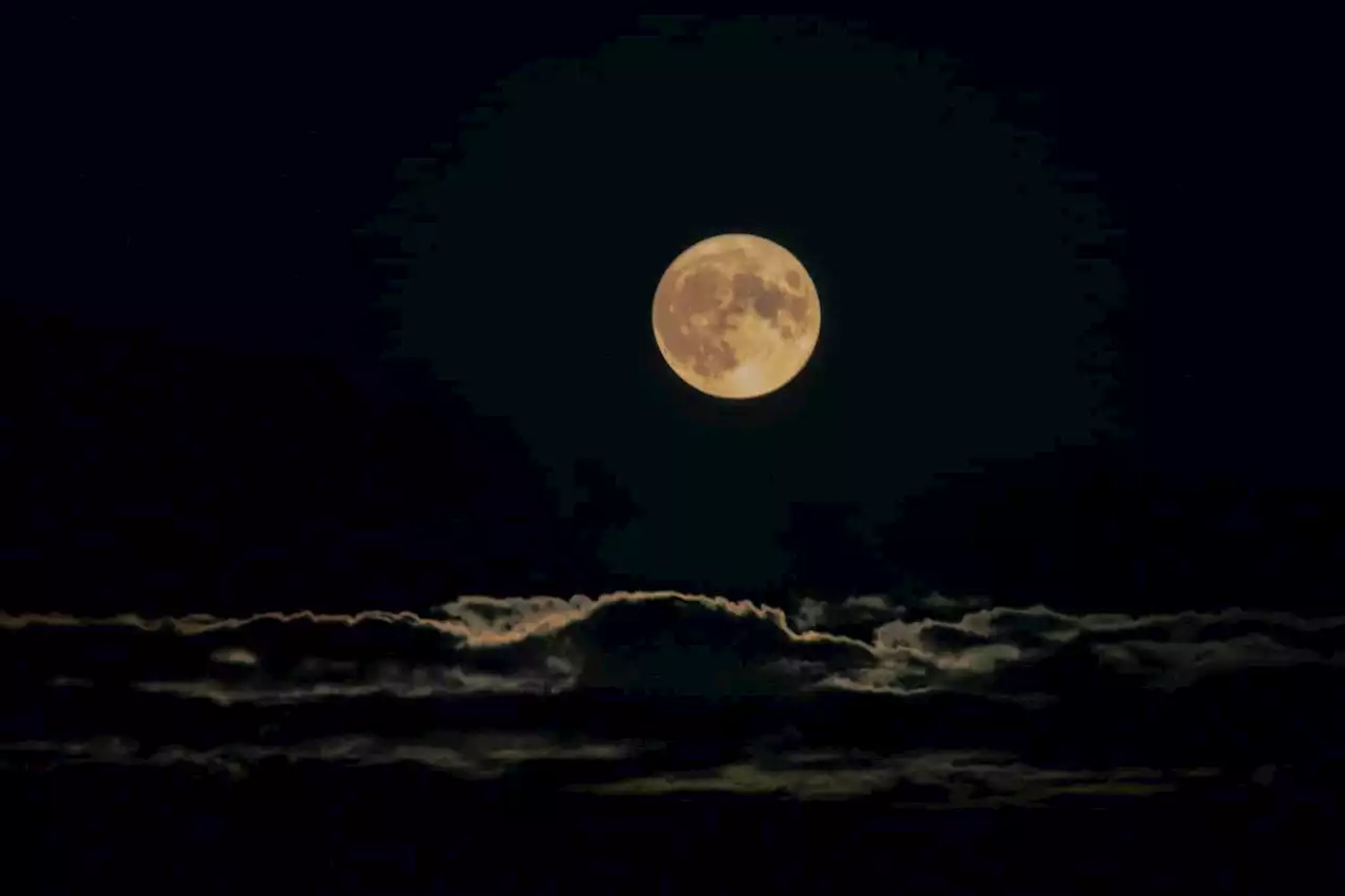 Double lunar delight: Don't miss August's first supermoon showing tonight | The Citizen