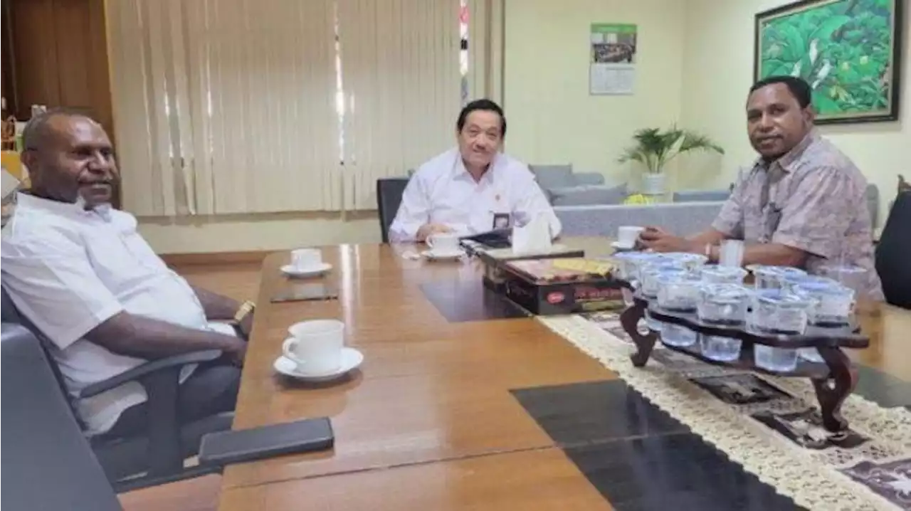 KASN Kembalikan Anton Tony Mote pada Jabatan Semula Sebagai Direktur RSUD Dok II Jayapura - Tribunnews.com