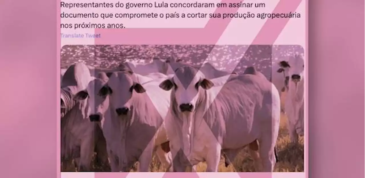 Brasil acordou em diminuir emissão de gás metano, não produção agropecuária