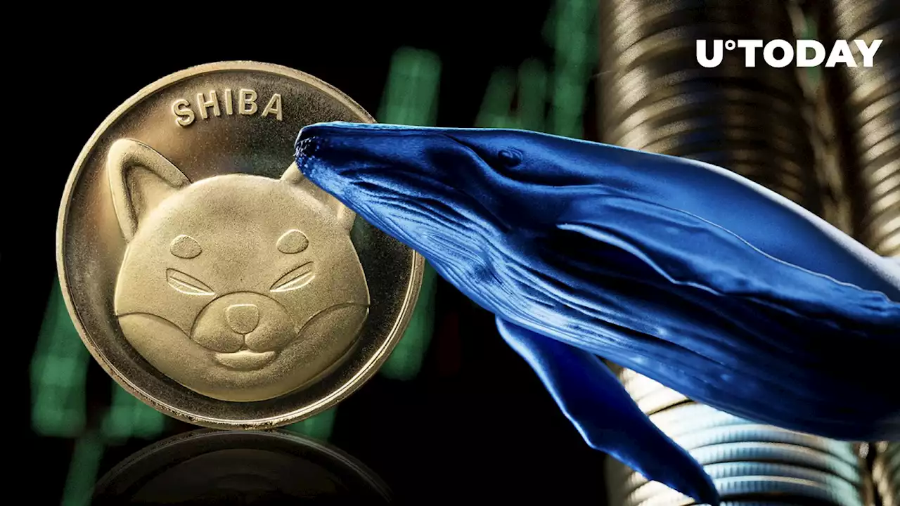 Shiba Inu's Whale Transactions up 10%, Negate These Bearish Metrics