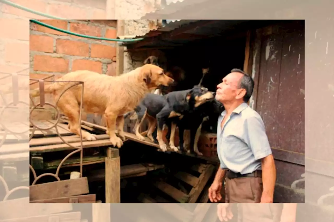 Urgente: se necesita ayuda para los animales del refugio Don Clímaco