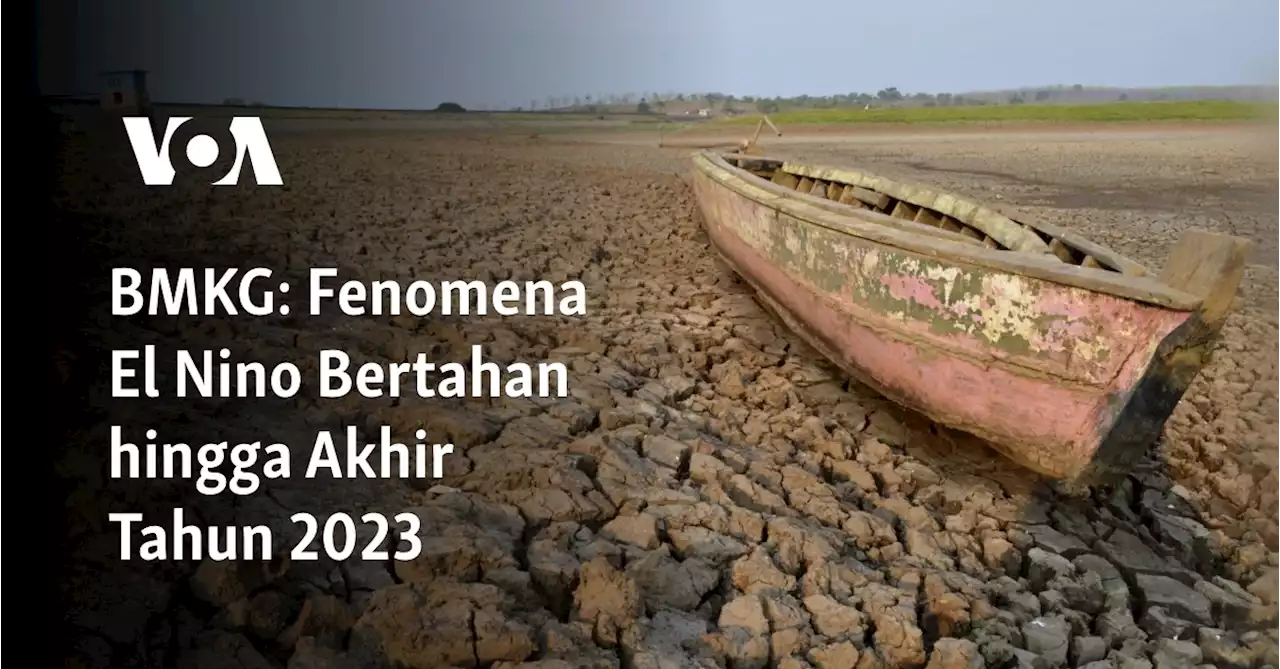 BMKG: Fenomena El Nino Bertahan hingga Akhir Tahun 2023