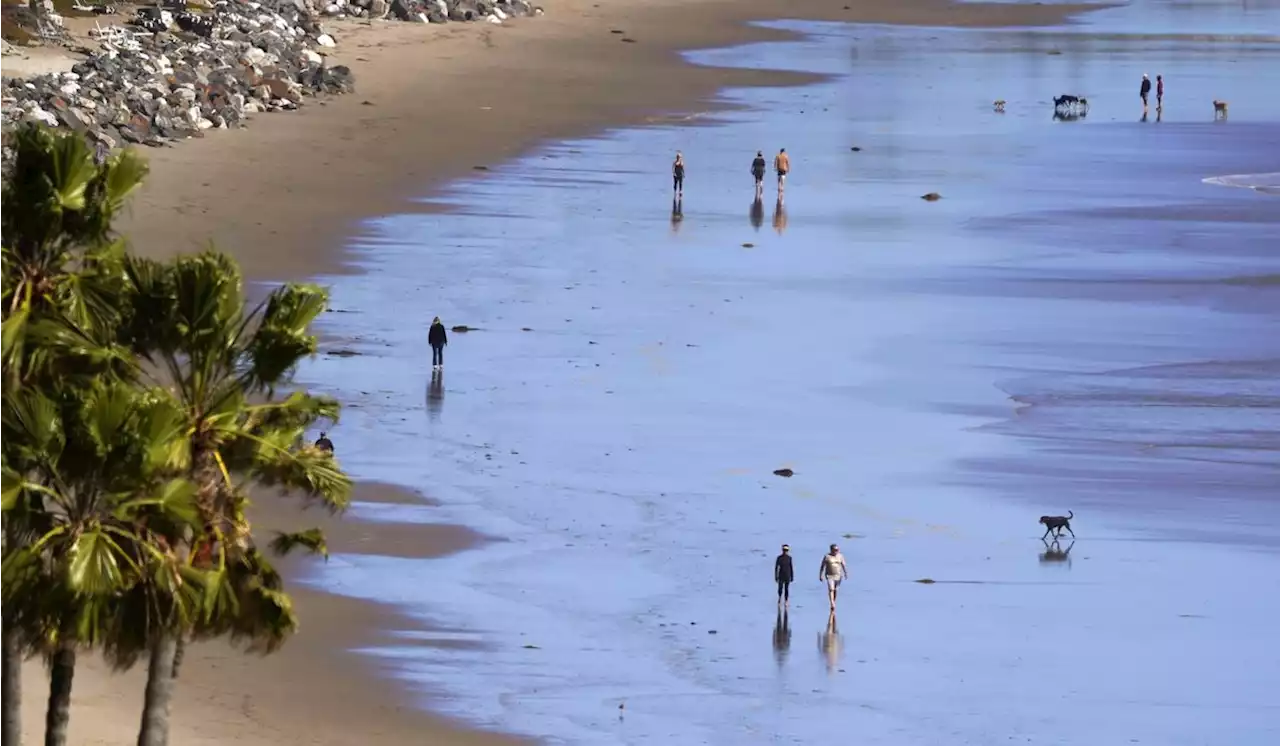 Floating 55-gallon drum with corpse inside spotted by Malibu Beach lifeguard