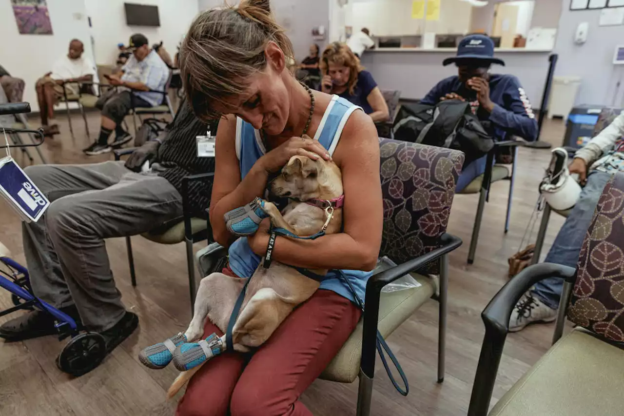 Phoenix’s Month in Hell: 31 Days of Extreme Heat Tests the City