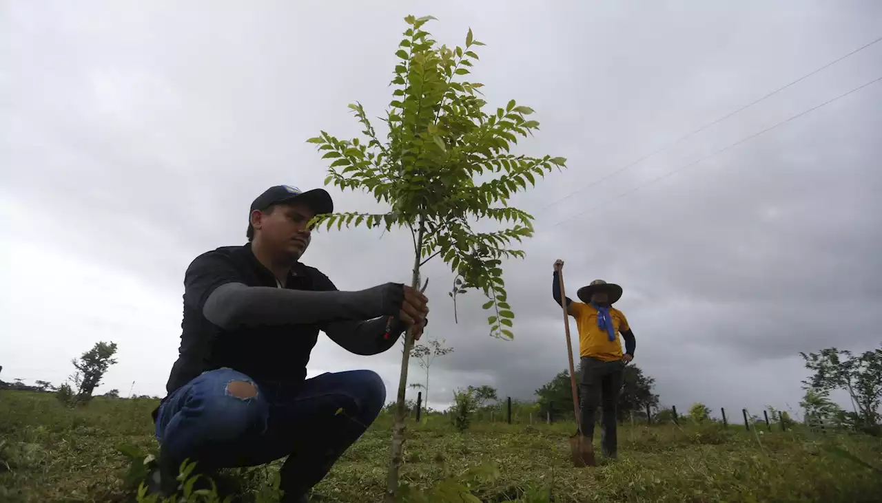 'Corazón de la Amazonía', programa que une a campesinos en “tiempos de paz”