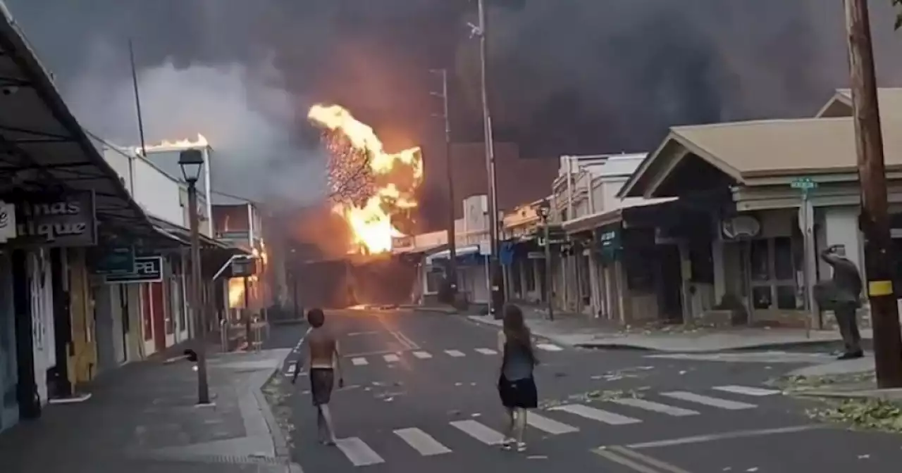 Maui wildfire leaves 36 dead, hundreds of buildings destroyed