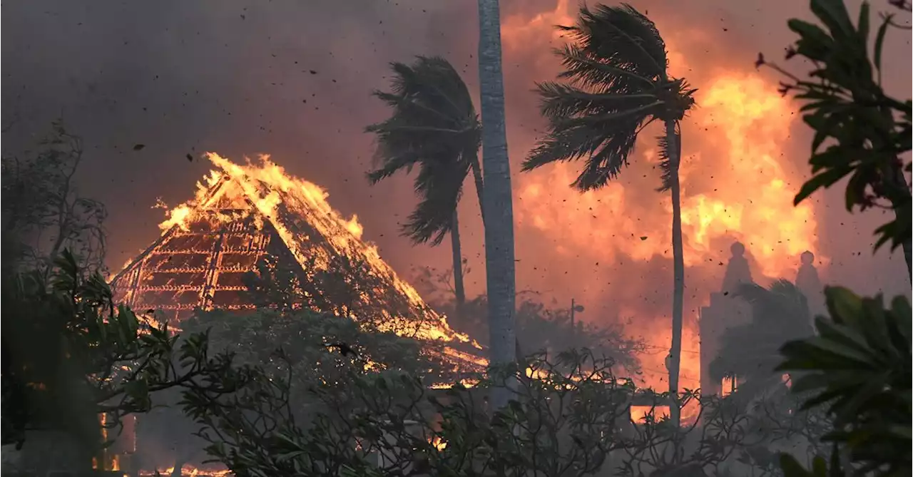 At least 36 people killed in Hawaii fires, county officials say