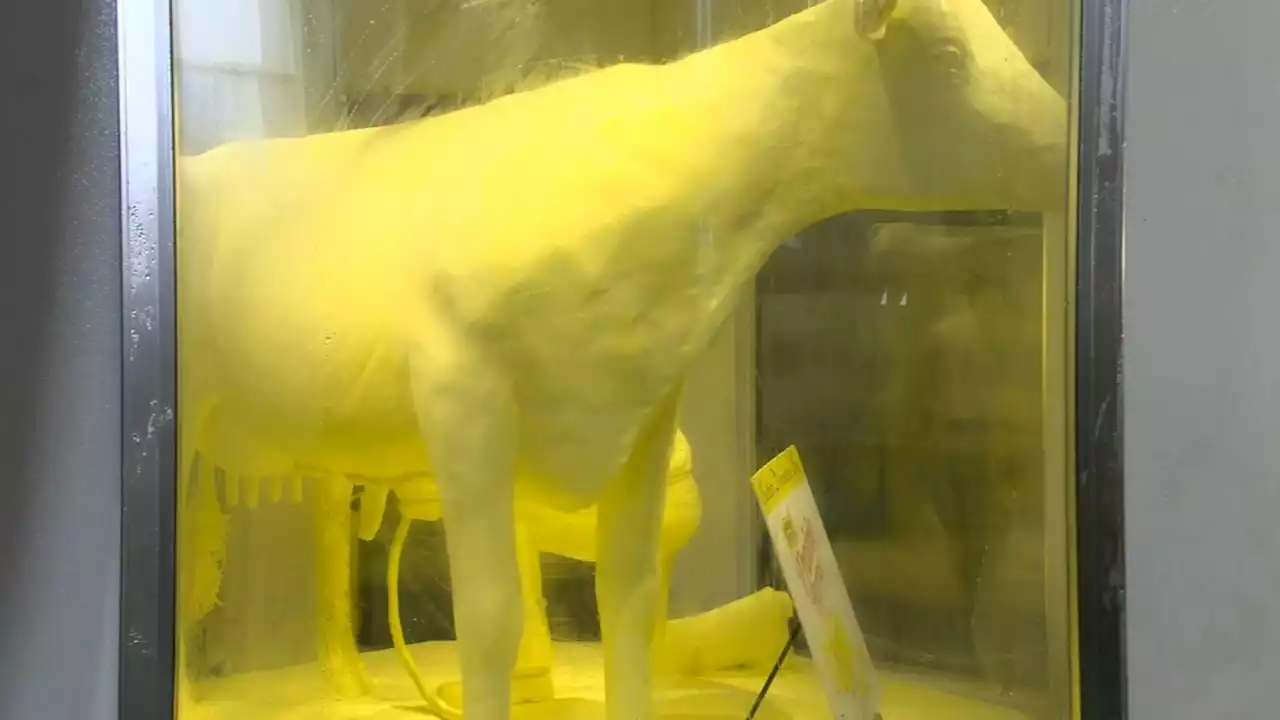 'Butter Cow' sculpture unveiled ahead of 2023 Illinois State Fair