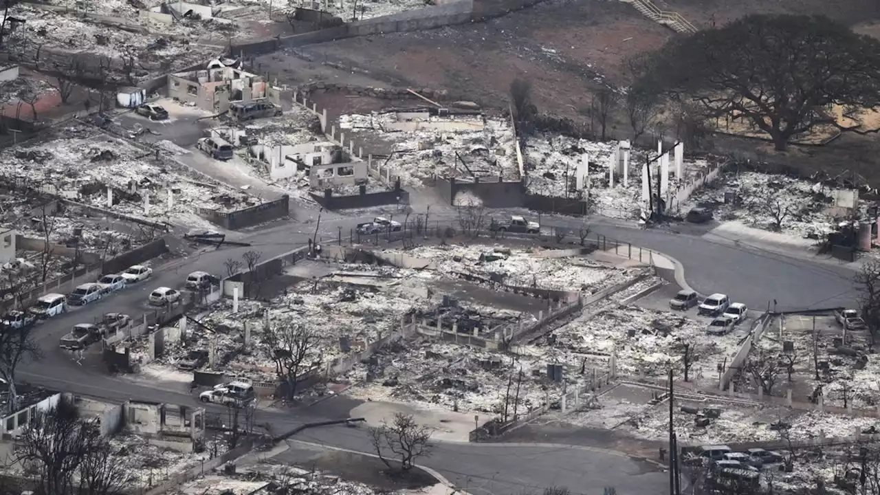 Maui wildfire updates: Latest on devastating Hawaii fires that killed at least 36