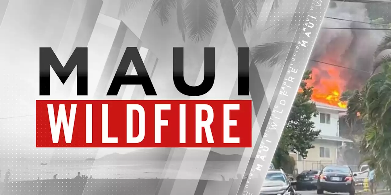 Local Alaskans, organizations react to Maui brush fire disaster