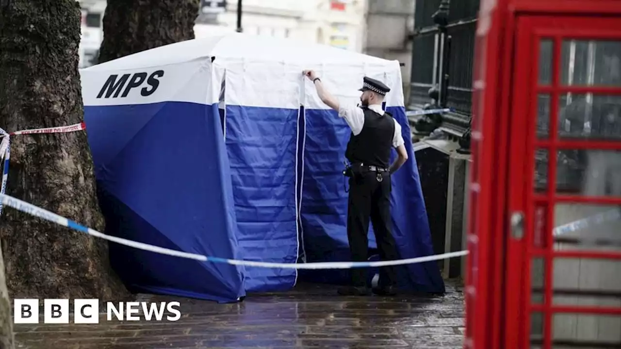 British Museum: Man in court over stabbing of tourist